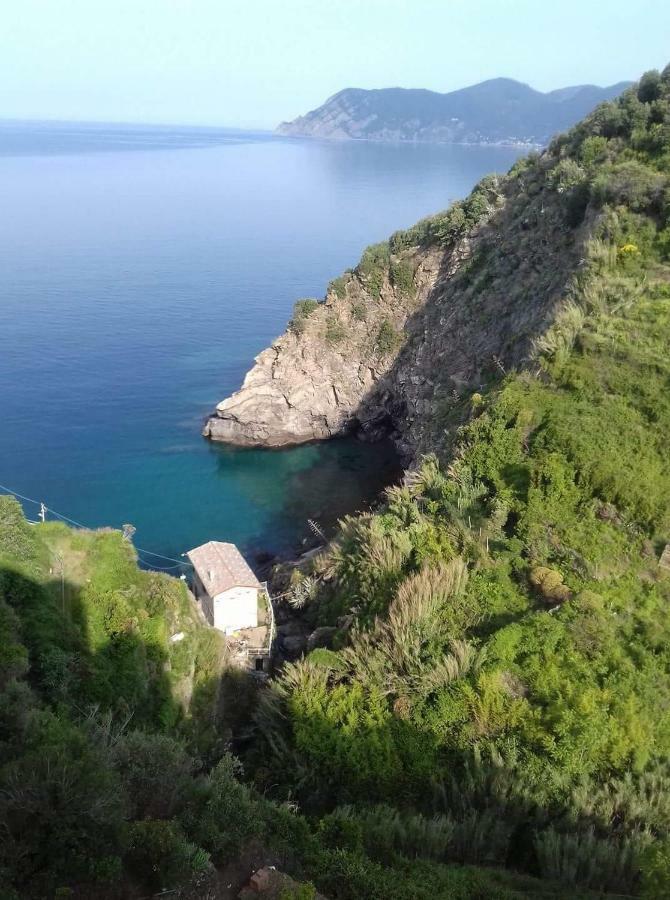 Cecio 5 Terre Rooms Corniglia Exterior photo